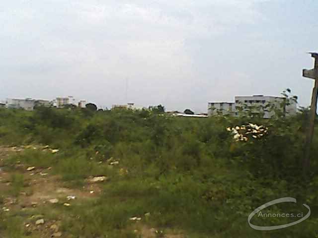 Terrain de 500m² en vente à bingerville