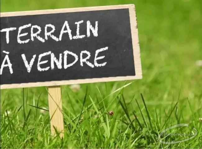 Terrain commercial en vente à la cite sir