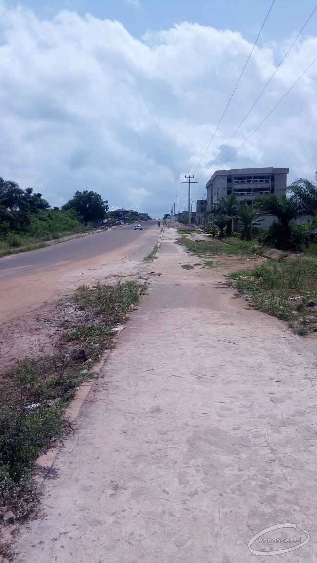 Terrain en vente yamoussoukro a cote de la basilique notre dame de la paix