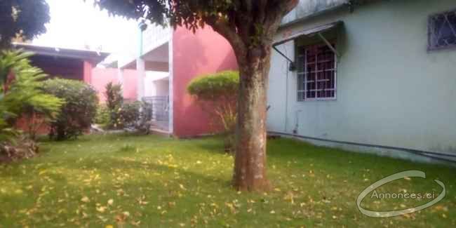 Villa basse - 2 plateaux vallon en vente