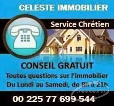 Céleste immobilier