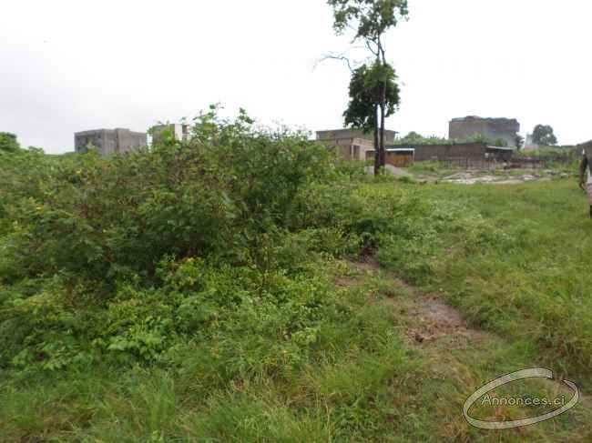 Terrains de 600 m²