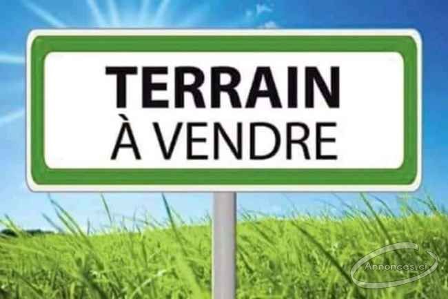 Terrain en vente à yamoussoukro