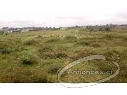 Terrain avec approbation ministeriel