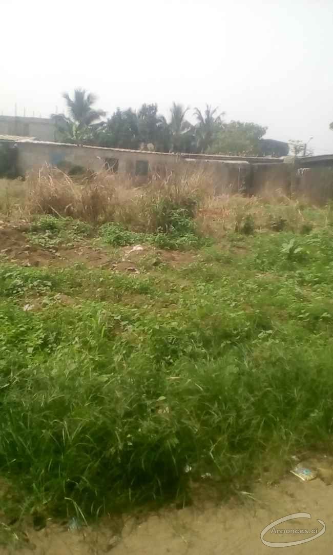 Terrain en vente a angre