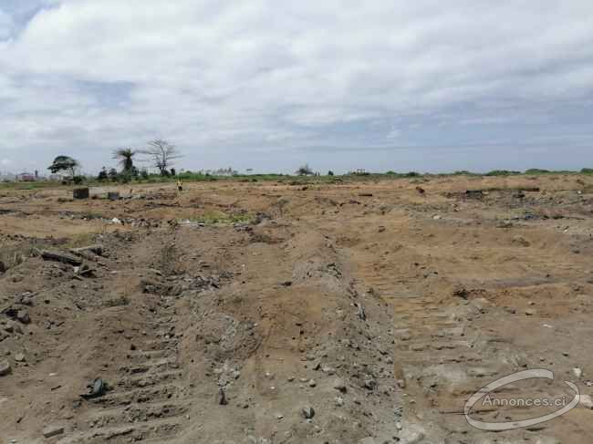 Terrain en vente sur la route de m'batto bouaké