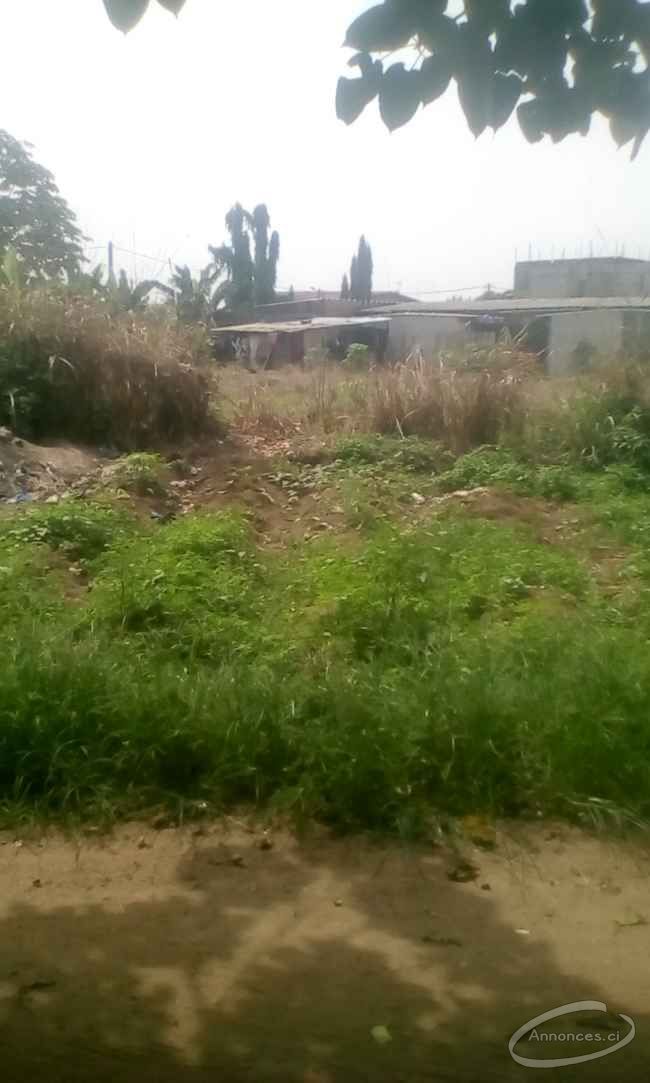 Terrain en vente a angre