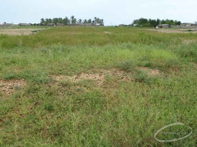 Vente de terrain  nu