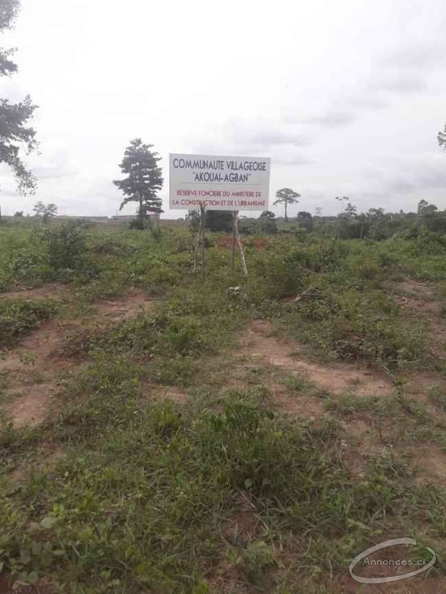 Vente de terrain avec acd  bingerville akoual-agban