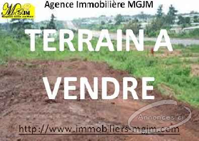 Terrains à vendre à yamoussoukro