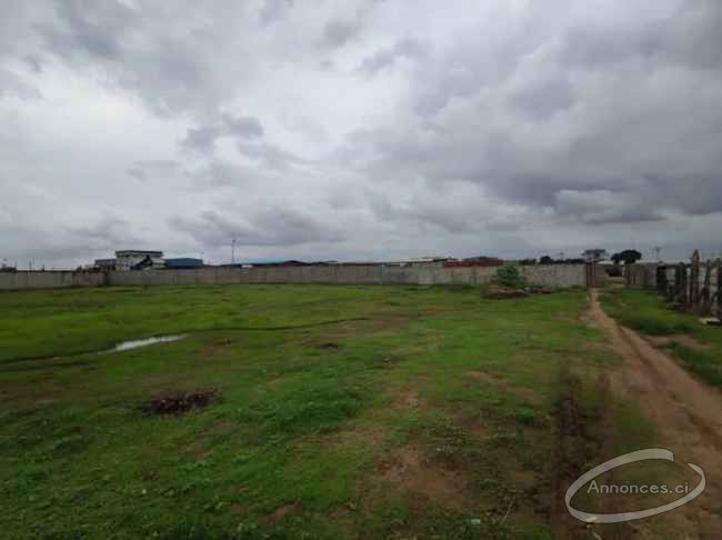 Terrain nu de 6500m2 en location à yopougon nouvelle zone industrielle
