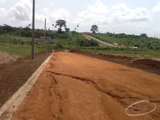 500 m2 á bingerville sur un viabilisé 