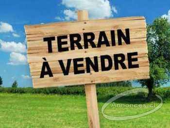 Terrain à vendre feh kesse