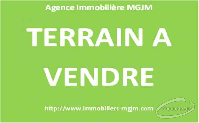 Terrain à vendre à zone industriel