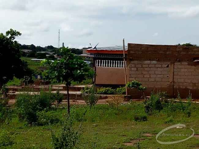 Parcelle de terrain en vente à yamoussoukro