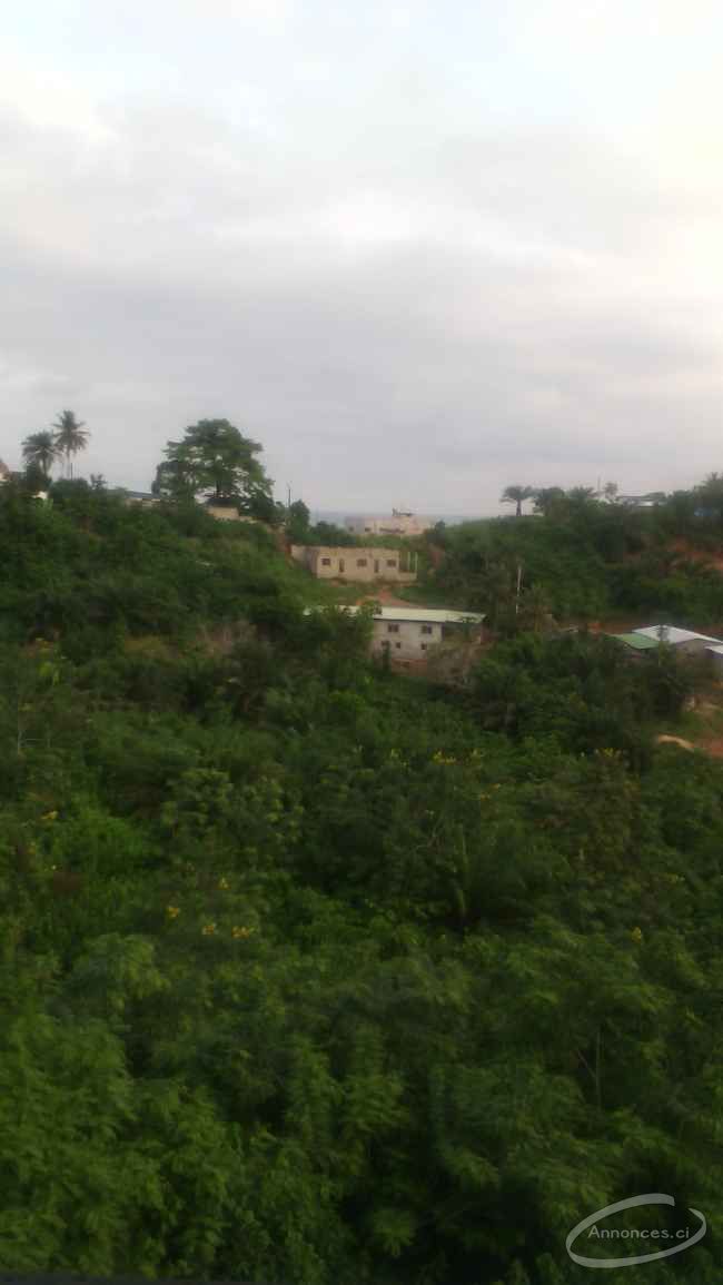 Vente de terrain de 1200m² à 200 mètres de la plage
