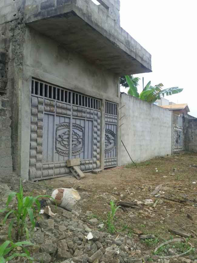 Vente de deux duplex jumeles inachévées