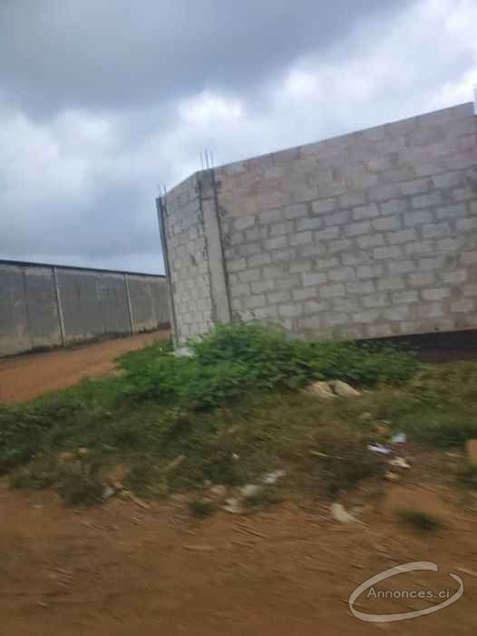 Terrain de 2ha acd en vente à yopougon nouvelle zone industrielle pk22