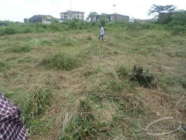 Terrains à vendre avec acd