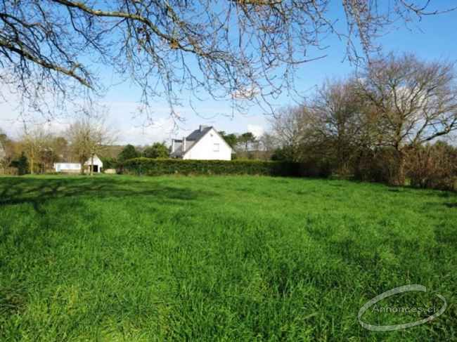 Des hectares à vendre à yamoussoukro