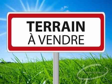 Terrains en vente