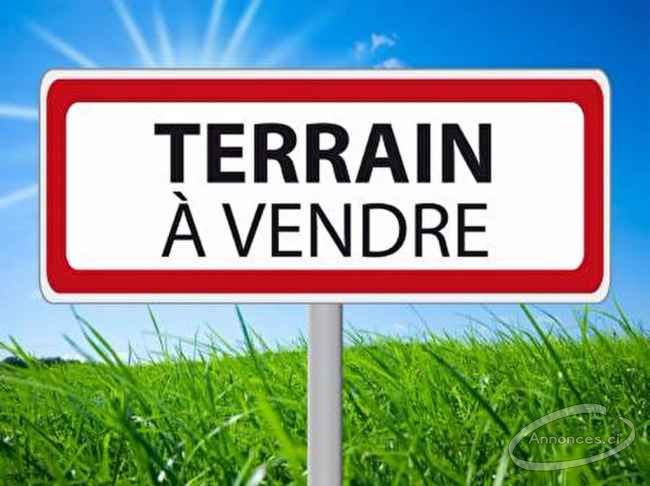 Terrain de 983 m2 en vente à cocody