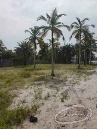 100 lots de 500m2 en vente ? jacqu?ville avec un arr?t? d'approbation minist?riel 