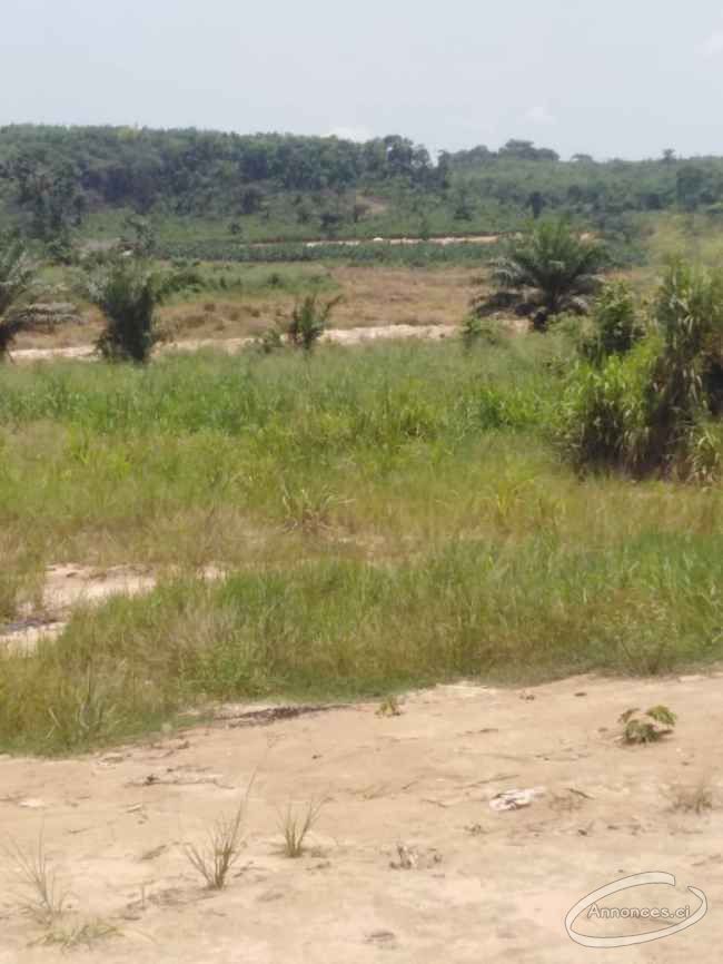 Terrain en vente non loin de la ci-energie