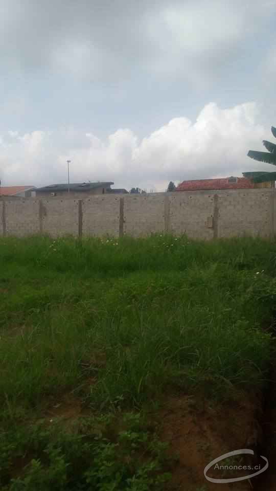 Terrain en vente a angre 