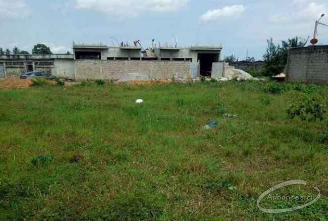 Terrain de 400 et 500 m2 a angré château vers la cité des médecins