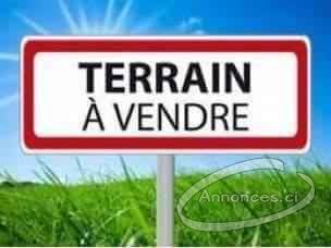 Vente de terrain