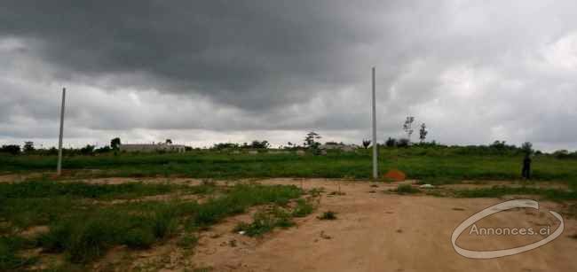 Terrain de 500m² en vente avec acd à songon kassemblé