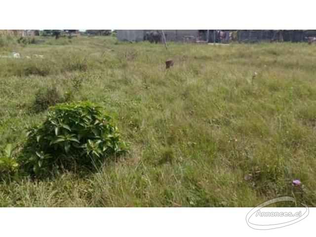 Vente de terrain à jacqueville