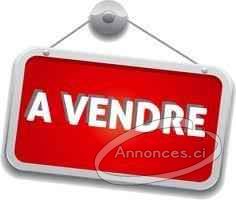 3 terrrains a vendre au 2 plateaux   aghien