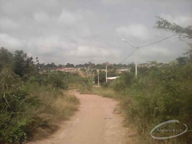 Terrain en vente à yamoussoukro 