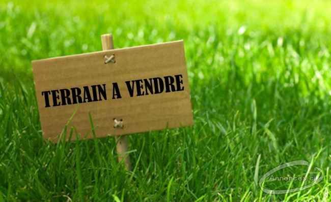 Terrain de 8000m2 morcelé en 2000m2 avec cpf en vente à la riviera golf4