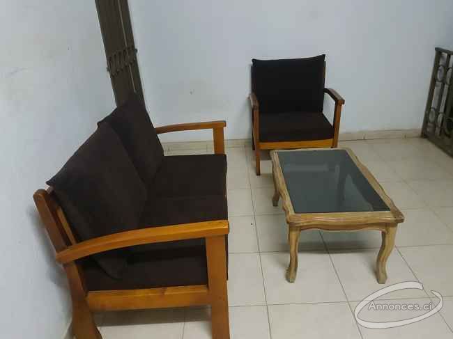 Ensemble jardin/terasse