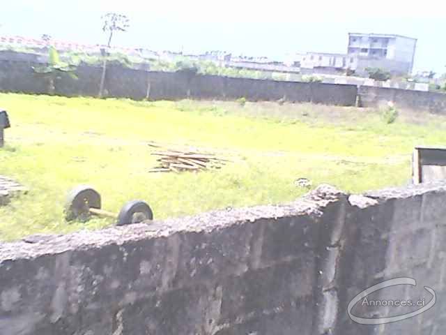 Terrain a vendre a angre