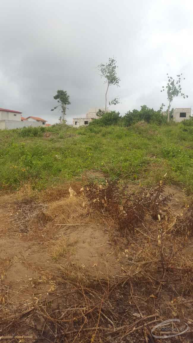 Terrains de 500 m² avec (a.c.d) a vendre 