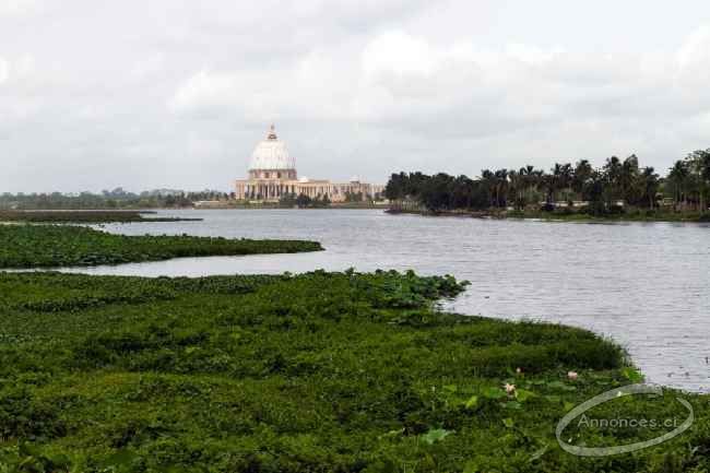 Terrain de de 1000 m2 en vente à yamoussoukro proche de la basilique