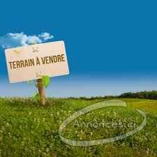 Vente de terrain sur l'autoroute du nord non loin de brassivoire