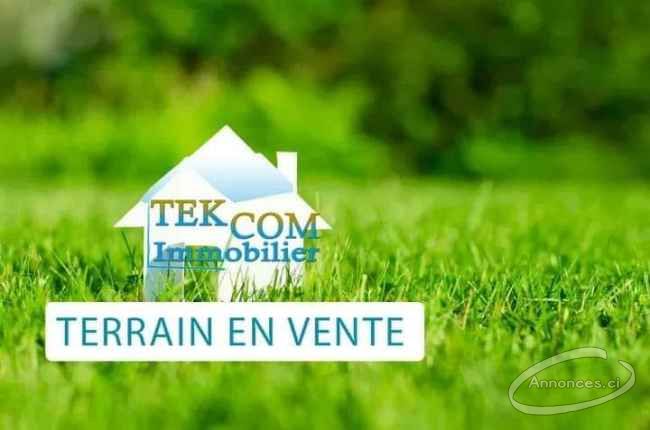 Terrain en vente a yamoussoukro 