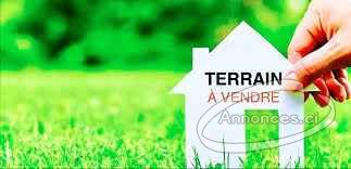 Nouvelle offre terrain 