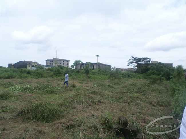 Terrains de 500 et 600 m² avec (a.c.d) a vendre 