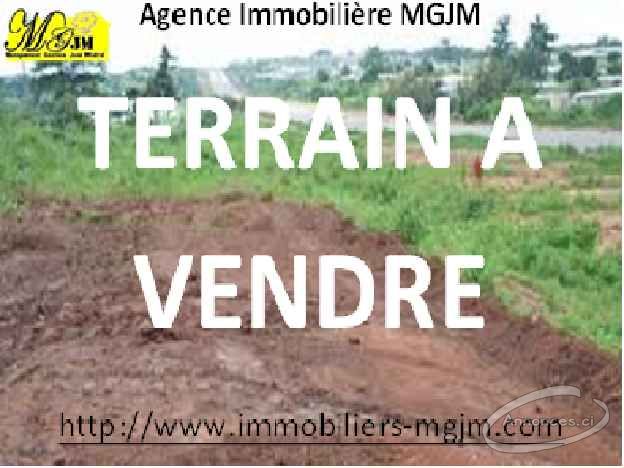 Terrains et villas à vendre à yamoussoukro