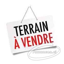 Terrains de 400 à 9000m2 en vente avec acd à cocody