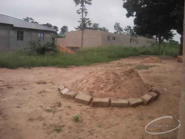 Terrain en vente à yamoussoukro à bouakouassikro