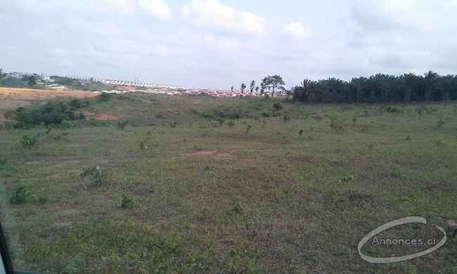 Vente de terrains bingerville près de la cité feh kesse