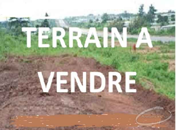 Terrain en vente à yamoussoukro