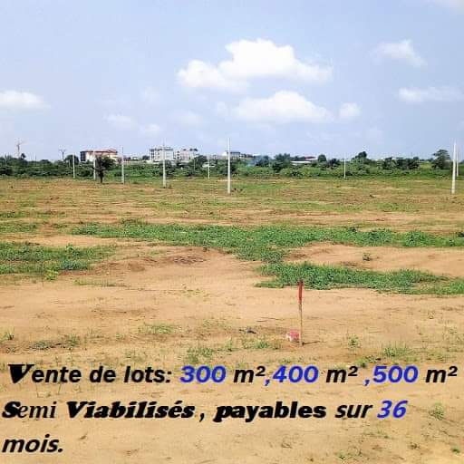 IVOIRE VIE IMMOBILIERE (IVIMMO)